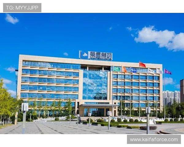 凯发集团平台苹果版下载成功后如何快速登录和使用指南